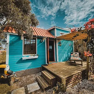 Passarim: Tiny House 8 Tucano Imbituba (Santa Catarina)
